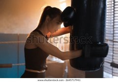 学校体育设施建设服务