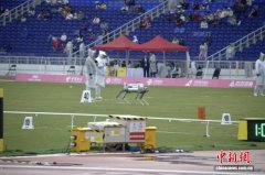 广州遭遇急速降温 残特奥会田径